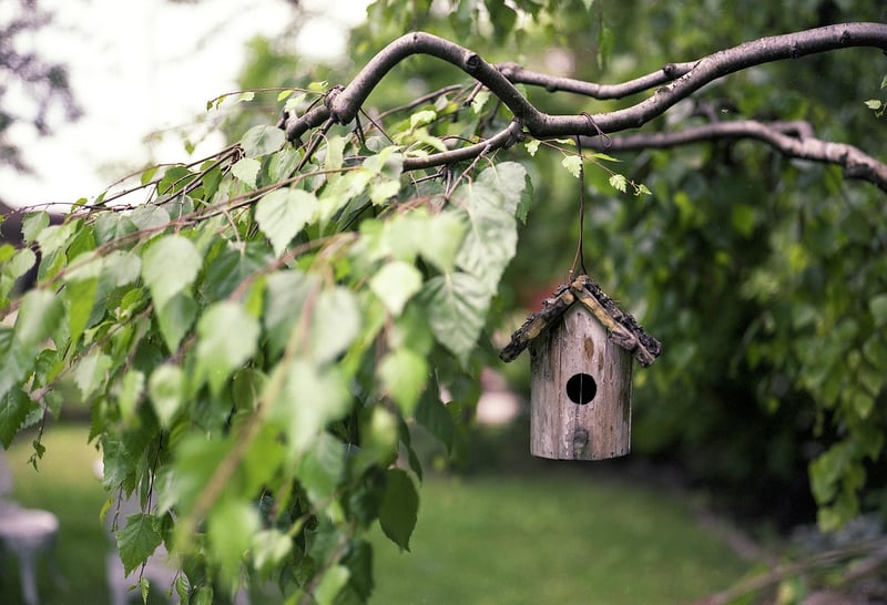 DIY Birdhouses